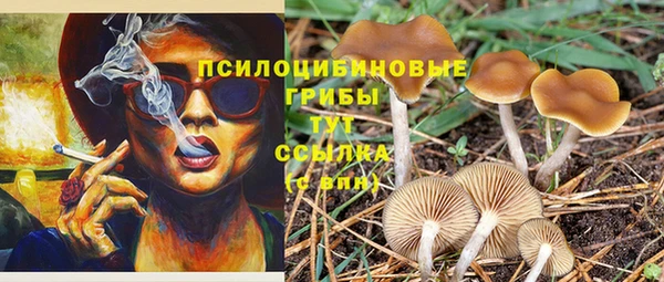 бутират Наволоки