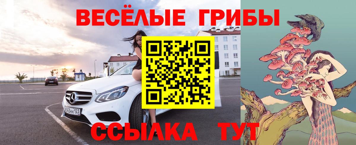 Галлюциногенные грибы GOLDEN TEACHER  Вход с VPN  Галлюциногенные грибы Psilocybe  Калининград 