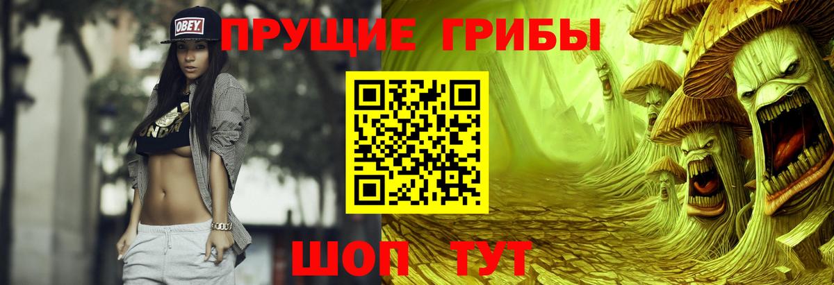 Галлюциногенные грибы Psilocybe Калининград